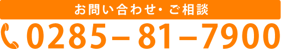 0285-81-7900